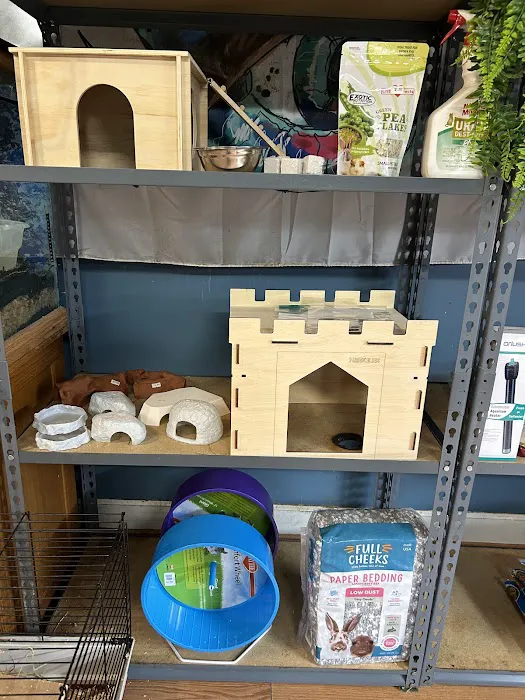 HM's Reptiphibians Exotic Pet Store Picture 10
