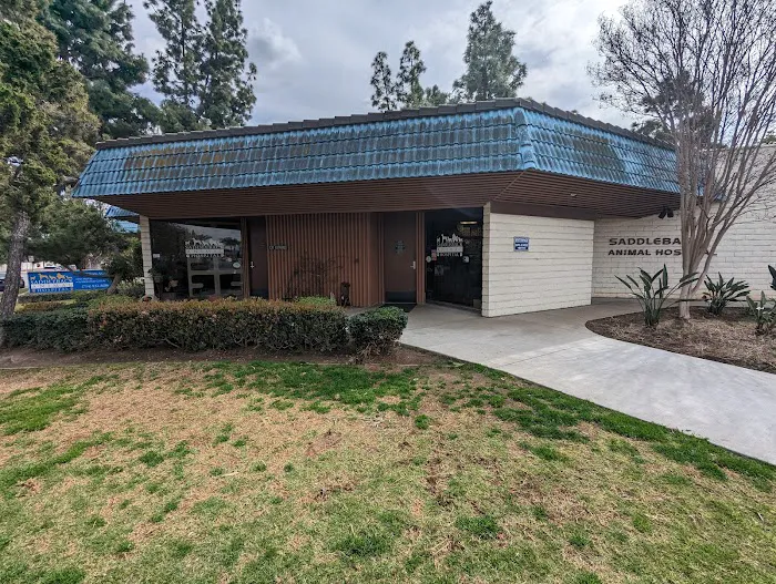 Saddleback Animal Hospital Picture 3
