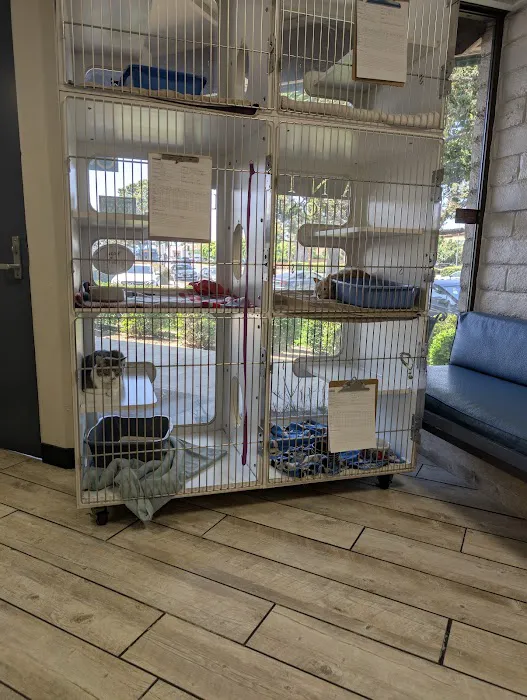Saddleback Animal Hospital Picture 7