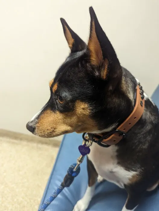 Saddleback Animal Hospital Picture 1