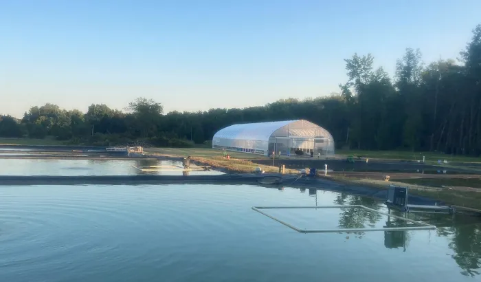 Miyabi Koi Farm Ltd. Picture 5