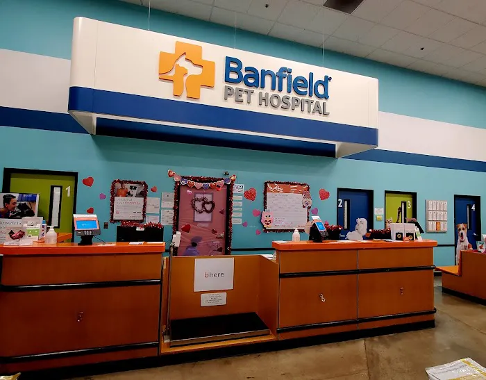 Banfield Pet Hospital Picture 9