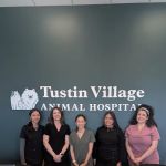Tustin Village Animal Hospital