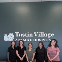 Tustin Village Animal Hospital ico