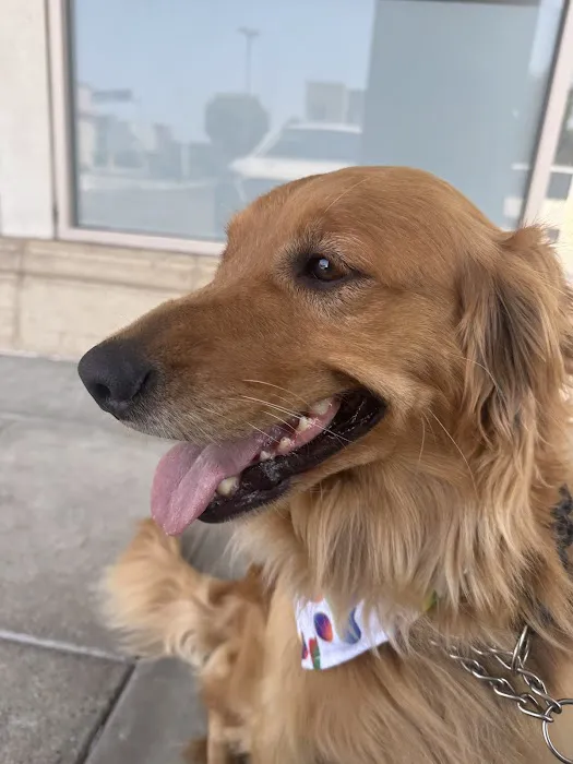 Tustin Village Animal Hospital Picture 6