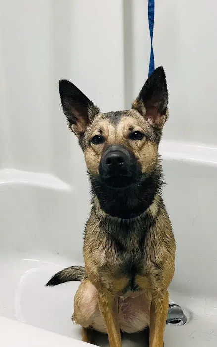 Tustana Animal Hospital Picture 5