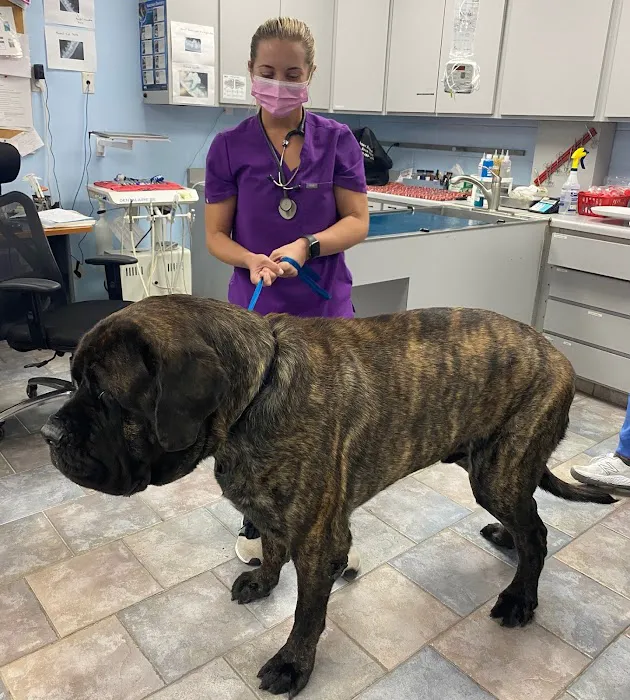 Tustana Animal Hospital Picture 1