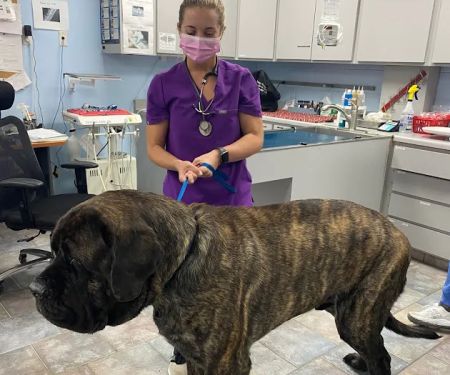 Tustana Animal Hospital