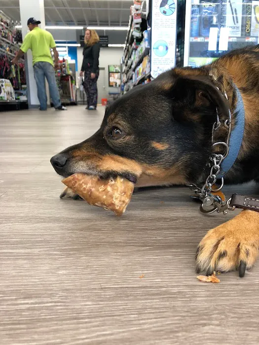 Pet Supplies Plus Woodlyn Picture 4