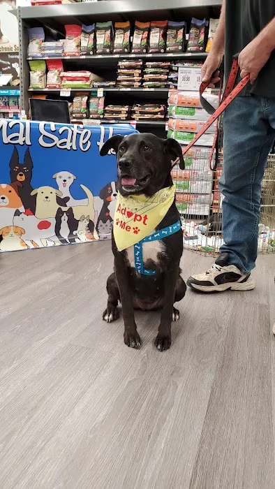 Pet Supplies Plus Woodlyn Picture 5