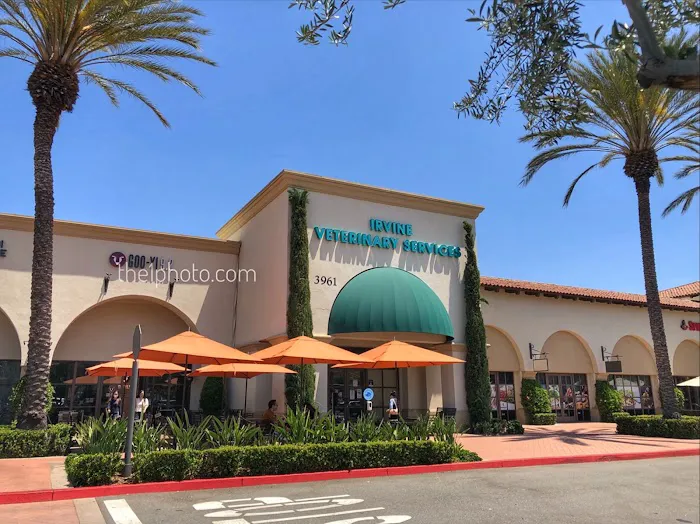 VCA Irvine North Park Animal Hospital Picture 6