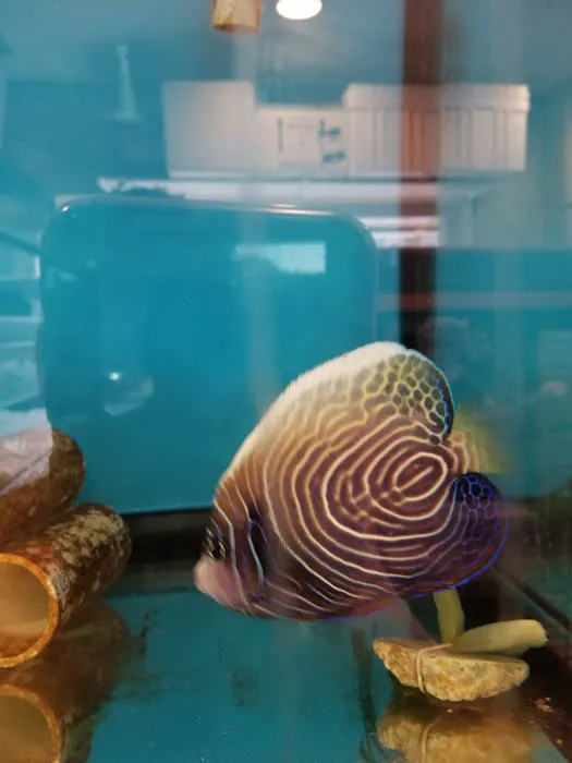 Mini Reef Picture 6
