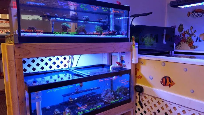 Mini Reef Picture 9