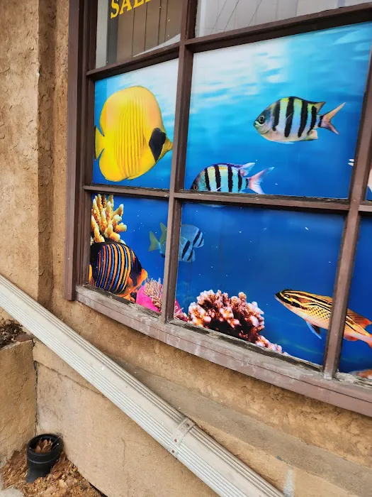Mini Reef Picture 7
