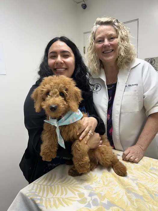 Amigo Animal Hospital Picture 7