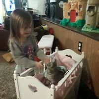 Art's Animals & Supplies ico