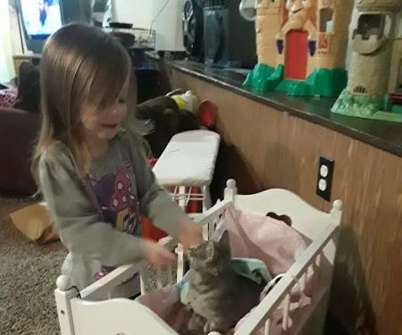 Art's Animals & Supplies