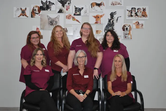 Animal Hospital of Huntington Beach Picture 8