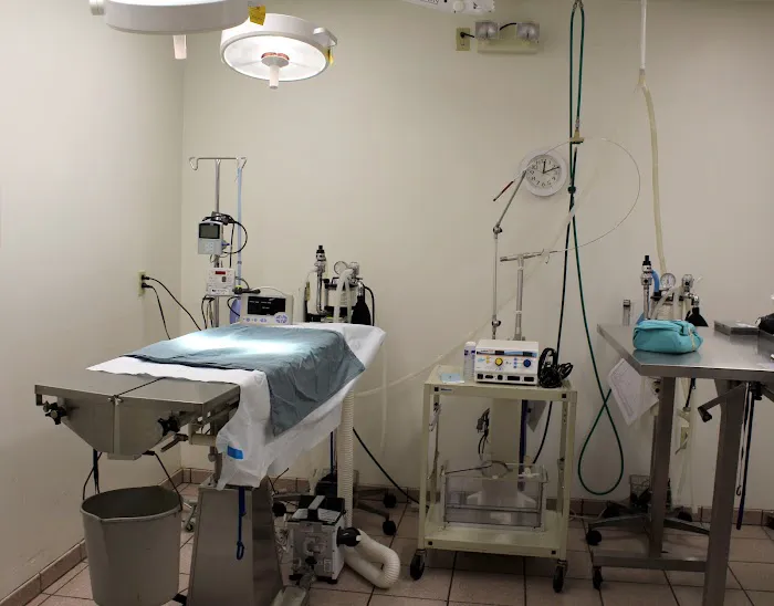 Animal Hospital of Huntington Beach Picture 5