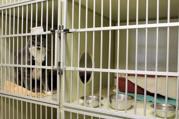 Animal Hospital of Huntington Beach Picture 10