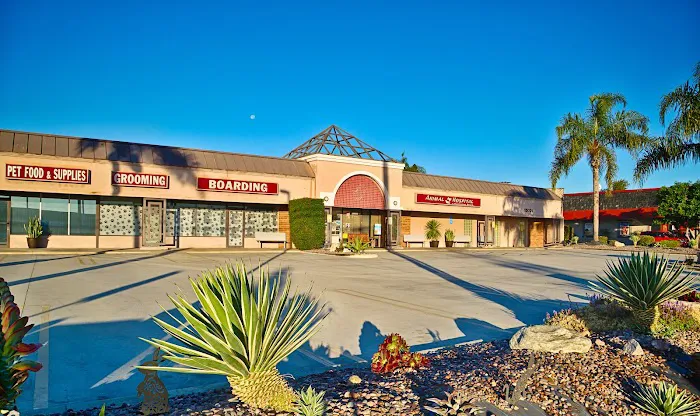 Animal Hospital of Huntington Beach Picture 4