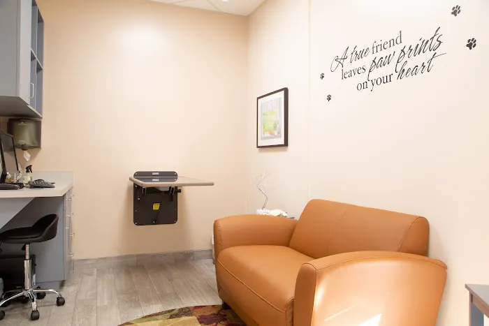 Animal Hospital of Huntington Beach Picture 9