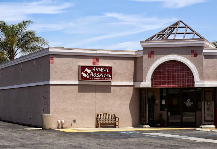 Animal Hospital of Huntington Beach Picture 3
