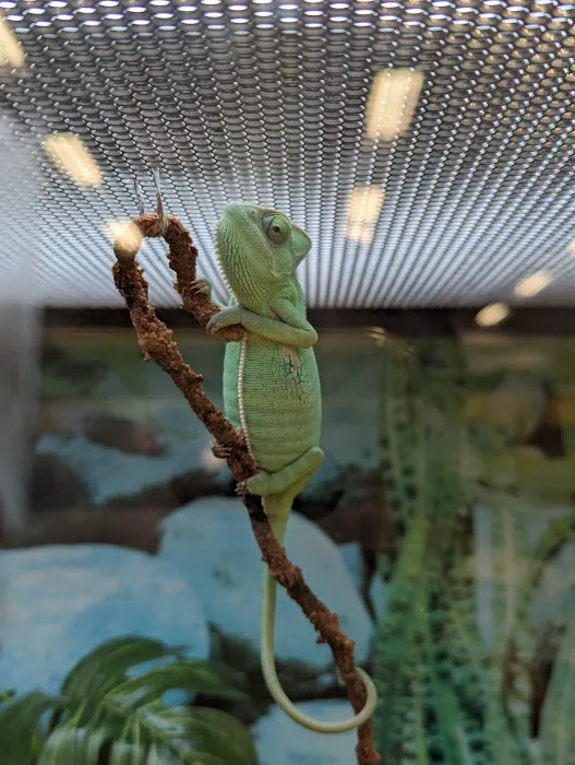 Petco Picture 2