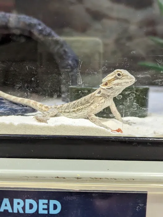 Petco Picture 3