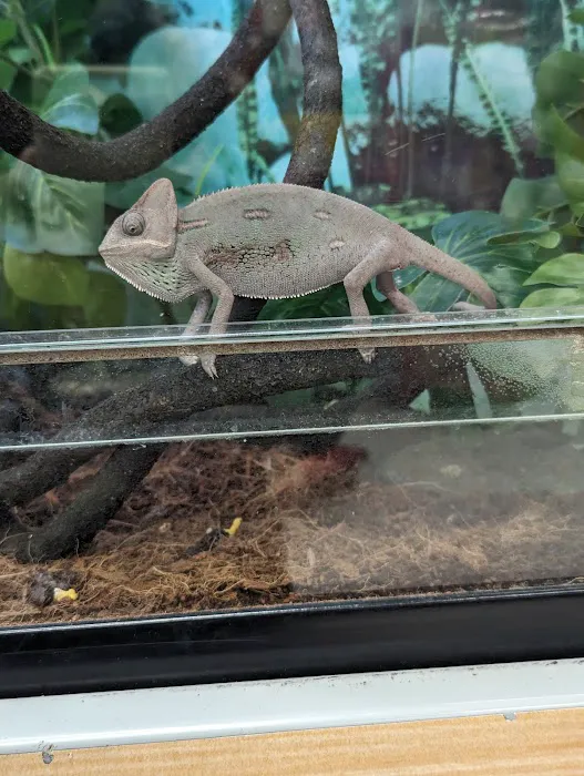 Petco Picture 1