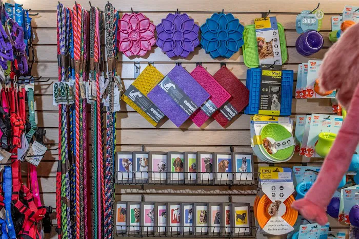 Abel Pet Supply Picture 1
