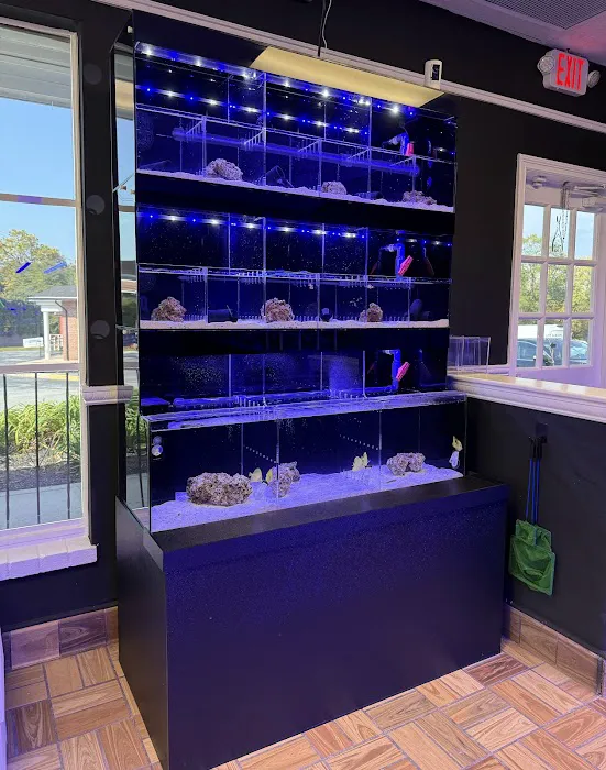 Main Line Coral Gardens Picture 4