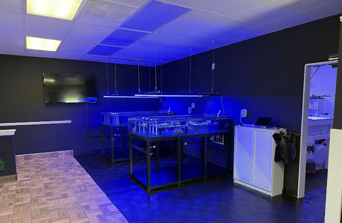 Main Line Coral Gardens Picture 3