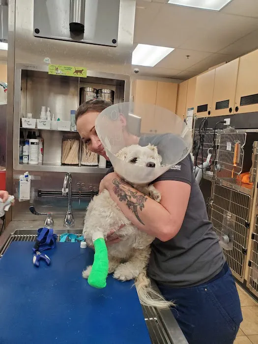 Banfield Pet Hospital Picture 4