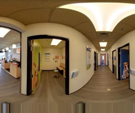 Banfield Pet Hospital