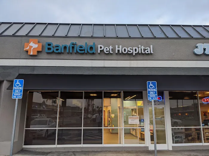 Banfield Pet Hospital Picture 7