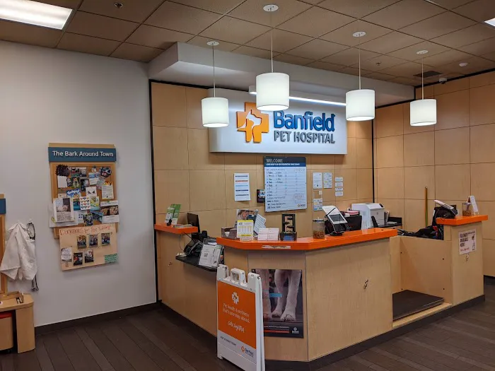 Banfield Pet Hospital Picture 8