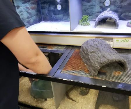 Petco