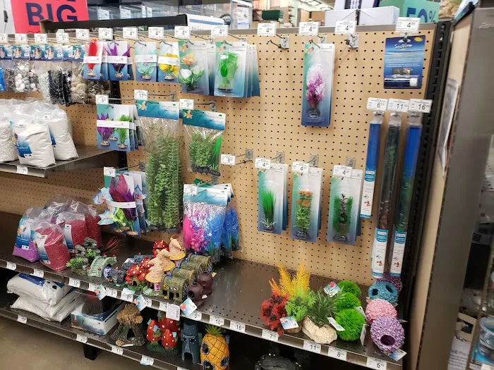 Petco Picture 8
