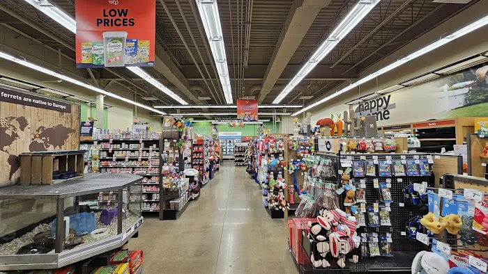 Petco Picture 7