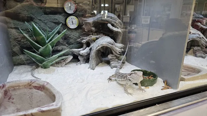 Petco Picture 4