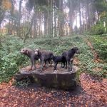 Fountain Valley Emergency Pet Hospital