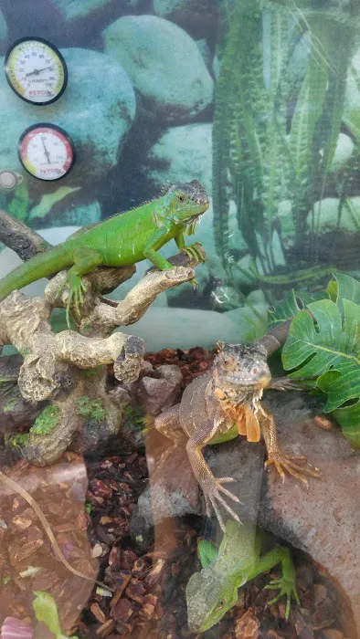 Petco Picture 1