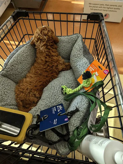 Petco Picture 8