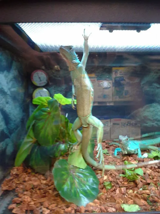 Petco Picture 9