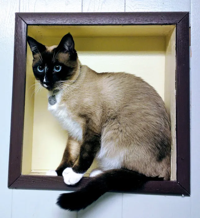 Warner Avenue Animal Hospital Picture 9