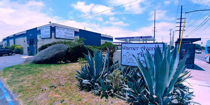 Warner Avenue Animal Hospital Picture 4