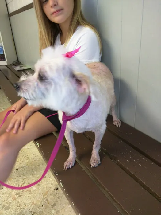 Warner Avenue Animal Hospital Picture 8