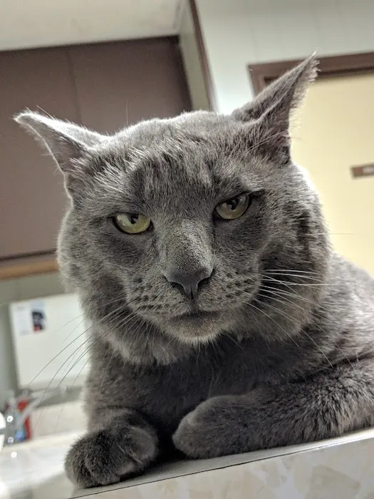 Warner Avenue Animal Hospital Picture 2