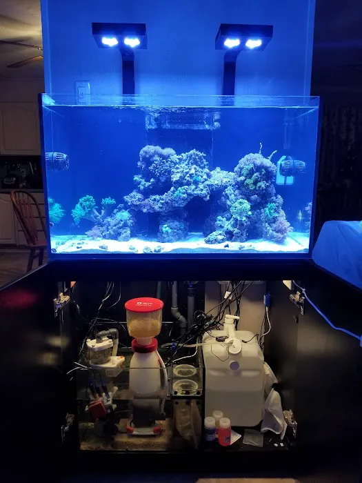 Sofishticated Aquatics Picture 8